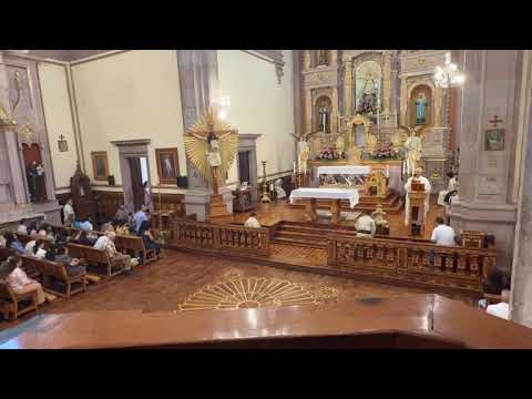 IV domingo de pascua 26-04-2026 Nuestra Señora dé la Asunción Jalostotitlan Padre Chuy Ruvalcaba 