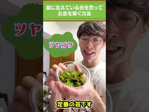 園芸 庭の苔を手なずける