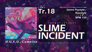 Cover art for SLIME INCIDENT