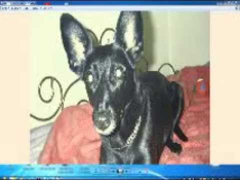 MIX-29 - Shanti Vs Atomic Pulse,Suntree u v a DJ HELMIC MIX-29 - 07 2014