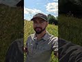 Benefits Of An Old Field Environment