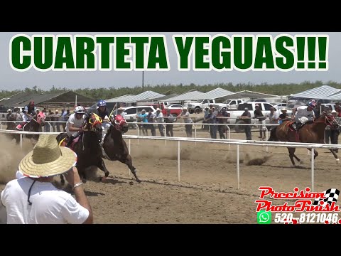 YEGUAS DE PURO PODER