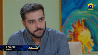 Shikanja Episode 24 Promo | Tonight at 7:00 PM only on Har Pal Geo