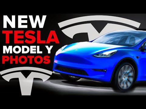 NEW Tesla Model Y Spotted At Giga Texas