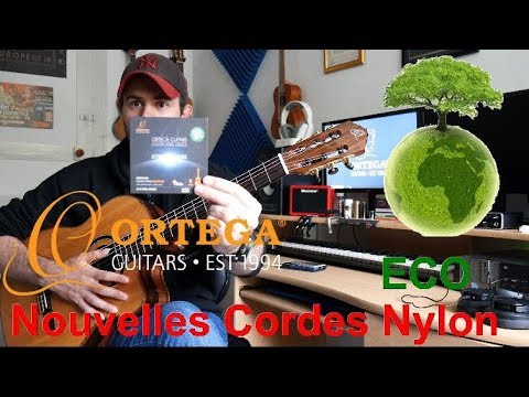 Пример звучания струн для классической гитары Ortega ATG44