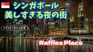 【夜のシンガポール】光に包まれる街。プロジェクションマッピングが幻想的すぎる【夜景×光】
