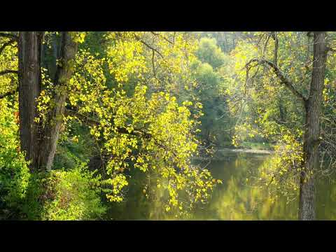 Šta je to bogobojaznost (takvaluk)? - Aziz Makan, prof.