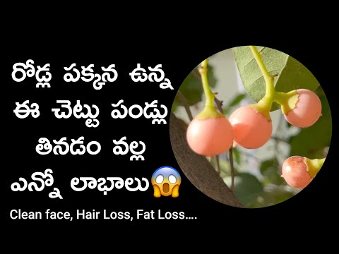 Glowing Skin & Healthy Gut Thanks to THIS Secret Fruit! #trending #cooking