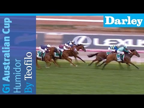 Humidor by Teofilo wins the G1 Australian Cup at Flemington
