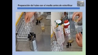 Preparación del medio de acultivo, agar de papa y dextrosa