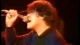 THE LONDON TIMES / 子どもたちのCity