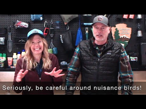 Critter Proof Your Food When Backpacking