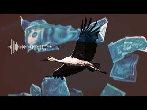 Stini Tempo - Prowident gość Boro