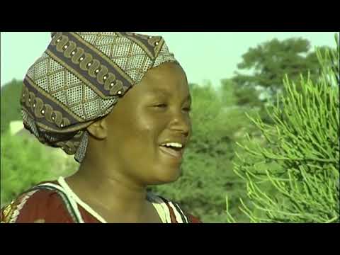 Culture Spears- Re mmogo