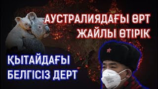 Аустралиядағы өрт жайлы өтірік. Қытайдағы белгісіз дерт 