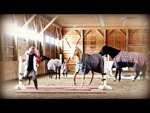 INTRODUCING OUR NEW HORSE! DON'T COME AT ME! Day 009a (01/09/20)