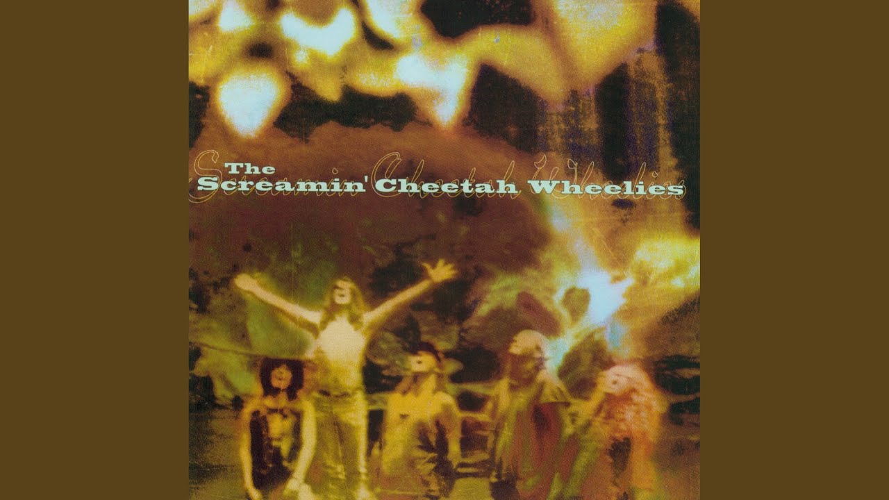 Screamin' Cheetah Wheelies