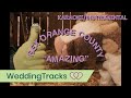 Amazing - Rex Orange County (Karaoke / instrumental )