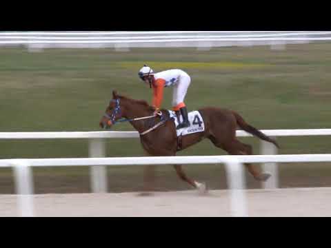 Igazgatósági díj 2000m