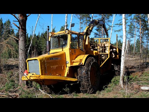 Svenska hjältar i skogen - del 1
