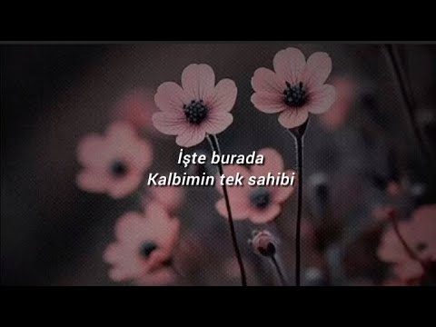 Manifest // KTS [Sözleri, Lyrics]