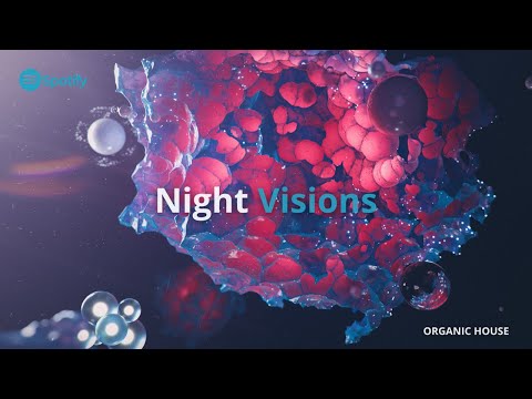 Felix Raphael, ReCorpo - Symphonia (Original Mix) [YION] | BEST ORGANIC HOUSE 2022