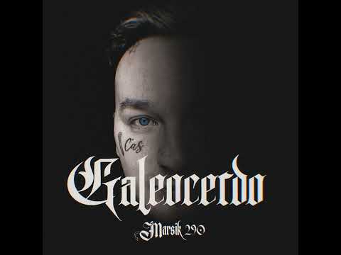 Marsik 290 / Galeocerdo 2023