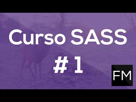 Aprende a escribir CSS como un PRO utilizando SASS