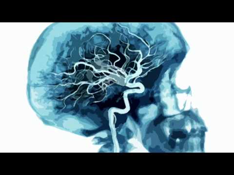 sixfootunda - bash your brains in