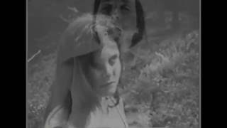 The Golden Palominos - No Skin [A Kenneth J Harvey Music Video Production]