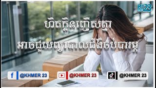 ហិតក្លិនញើសគ្នា អាចជួយព្យាបាលជំងឺថប់បារម្ភ