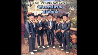 El Indio Zatarain - Carlos y José