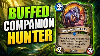 Companion Hunter Buffs make it Tier 1! This deck is everywhere now!