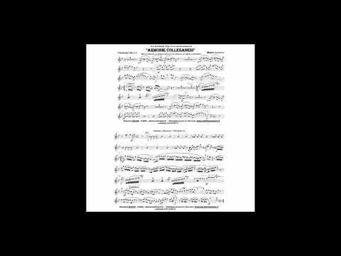 Armonie Collesanesi - Salvatore Mauro (Marcia sinfonica)