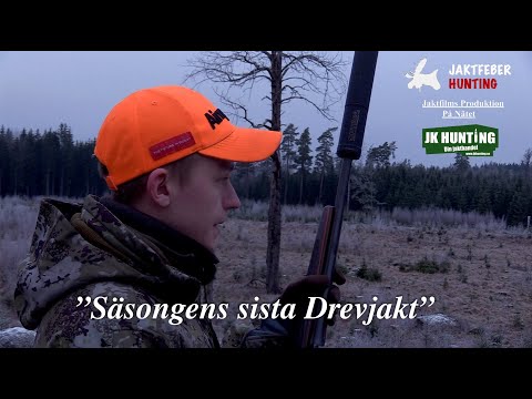 "Säsongens Sista Drevjakt" (Följ med jaktfeber på Säsongens sista Drevjakt i dom östgötska Skogarna)