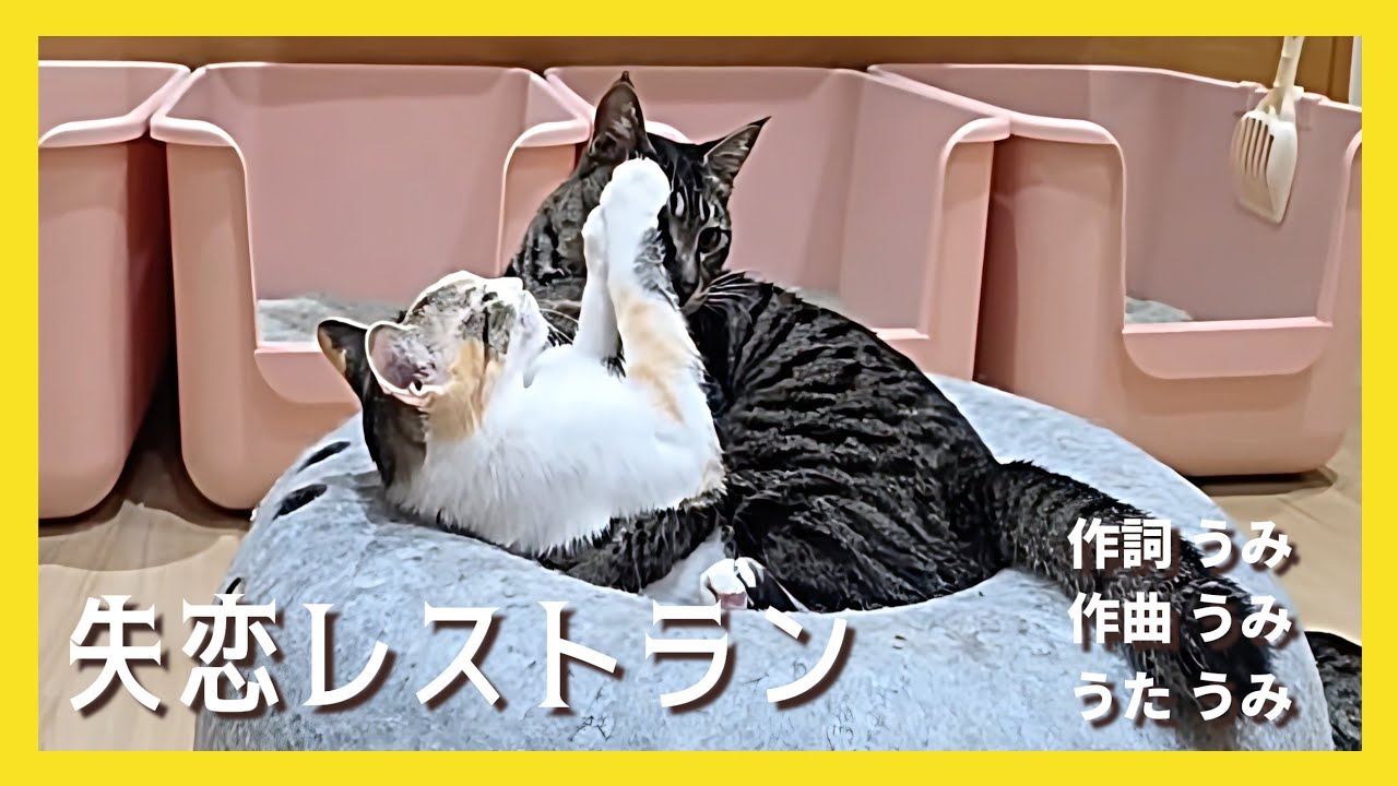 🔴【にこりら】一息つきましょ♪ライブ☕