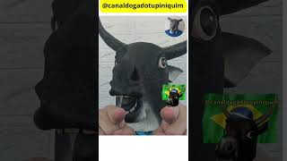 #ImpostoZeroJá, #SemAnistia, #BolsonaroPreso, #piorcongressodahistoria