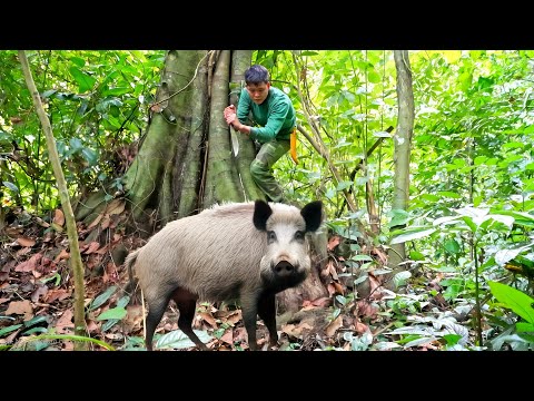 Surviving alone in the wilderness, primitive wild boar trapping skills, survival skills2