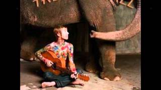 Beautiful Lunatic- Trevor Hall (elephant&#39;s door)