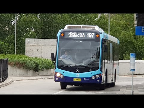 Forest Coach Lines Sydney - Custom Coaches ‘CB80’ - Mercedes Benz 0500LE