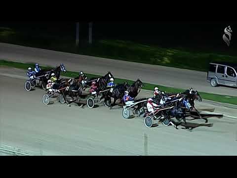 Aversa trotto 28 Ottobre 2020 - 7° Corsa