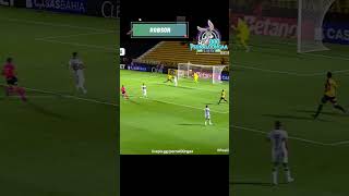 Gol do Novorizontino - Robson (Novorizontino 1x0 Guarani) Paulistão 13/01/2026