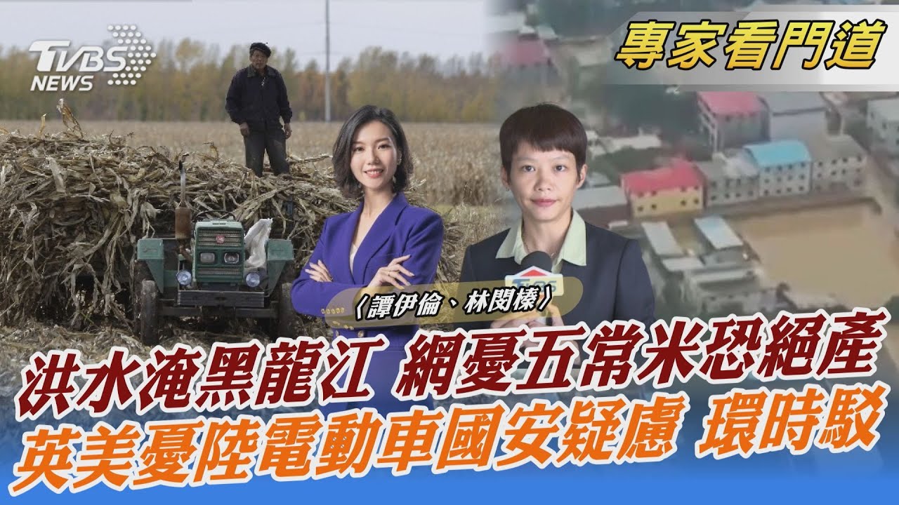 英美憂陸自動車藏國安隱憂 環時:危言聳聽