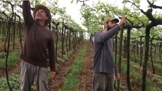 Miniatura do vídeo