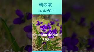Download lagu 【フルート&ギター】朝の歌 | エドワード・エルガー | Chanson de Matin | Edward Elgar mp3 Download lagu 【フルート&ギター】朝の歌 | エドワード・エルガー | Chanson de Matin | Edward Elgar mp3