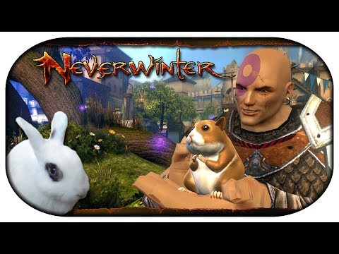 NEVERWINTER: Paladin-LP 🐇 80 - Boo, der miniaturisierte Riesen-Weltraumhamster