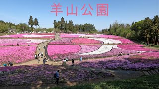 24年4月羊山公園と蕎麦とソフトクリーム