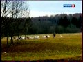 Современный фермер 