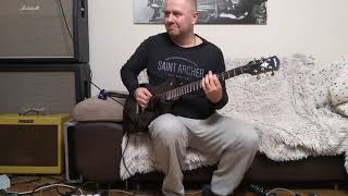 Video thumbnail for Washburn WIN 14 by Damian Gitaromania