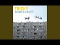 Council Estate (South Rakkas Mix)